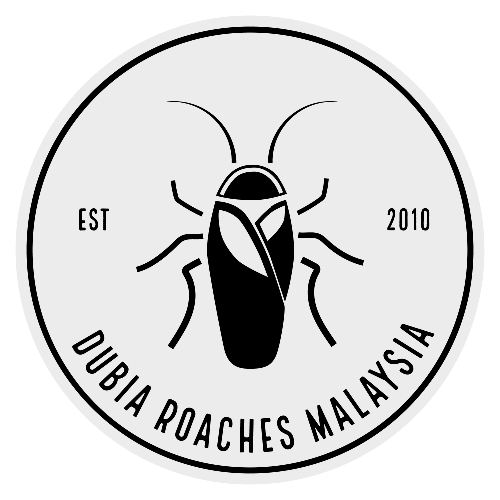 Dubia Roaches Malaysia